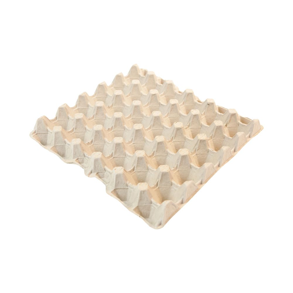 Egg Trays X6 - Chartley Chucks