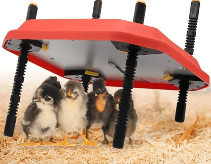 Extra Large Brooder Heating Plate (66W 40.7cmx61cm) - Chartley Chucks