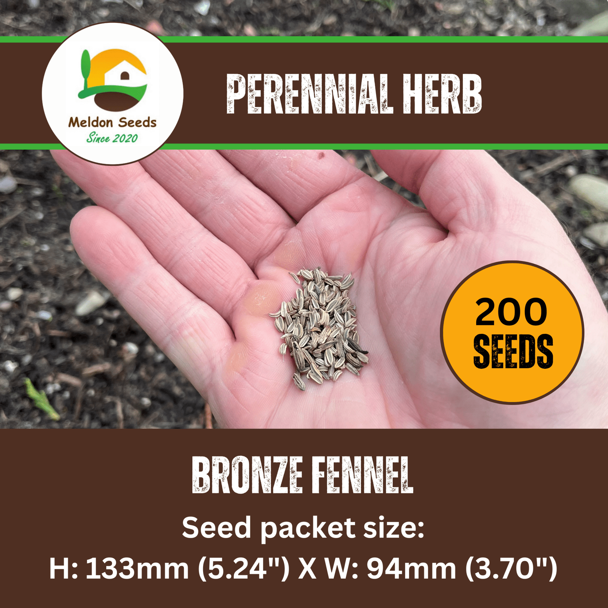Fennel Bronze 50 Seeds - Chartley Chucks