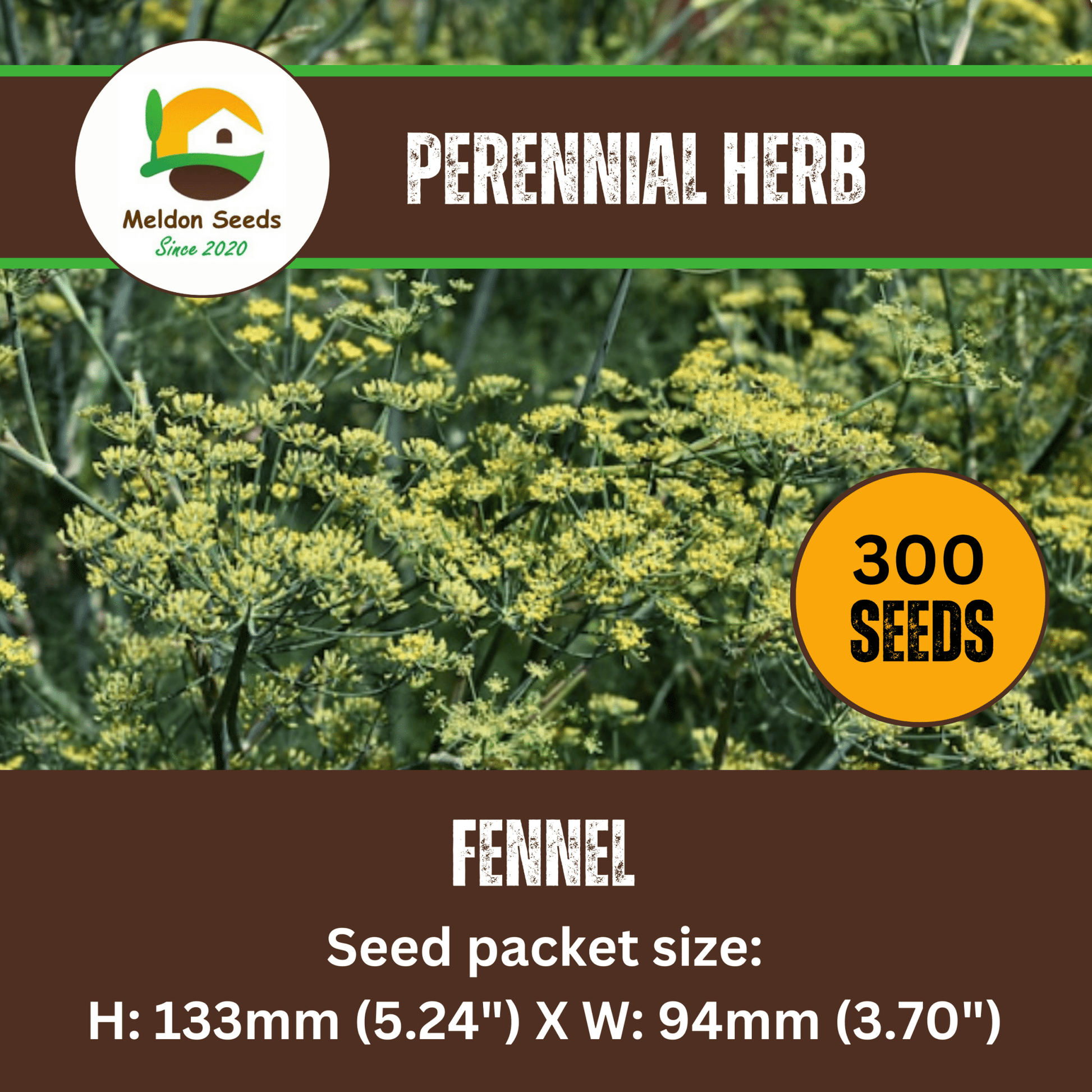 Fennel Herb 300 Seeds - Chartley Chucks