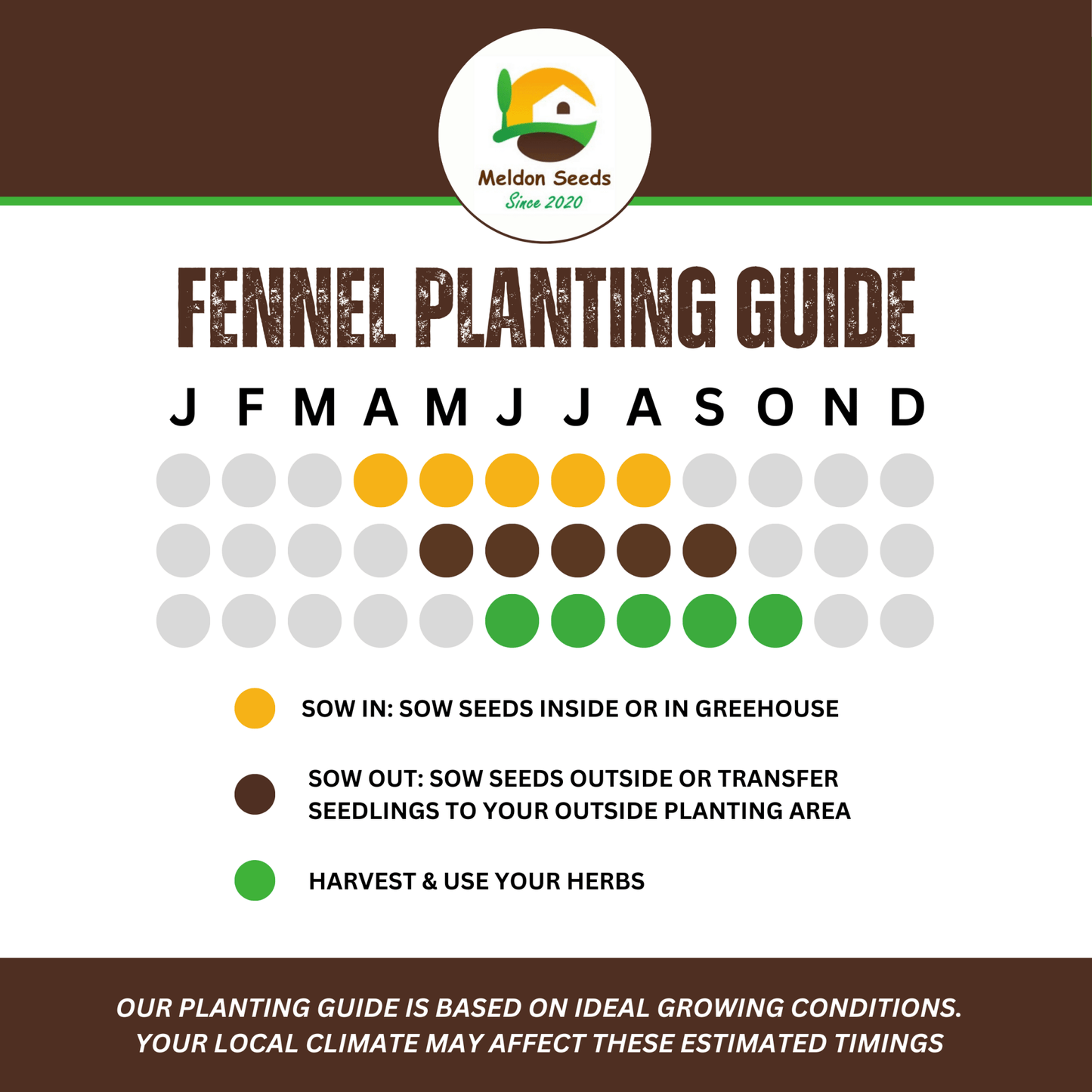 Fennel Herb 300 Seeds - Chartley Chucks