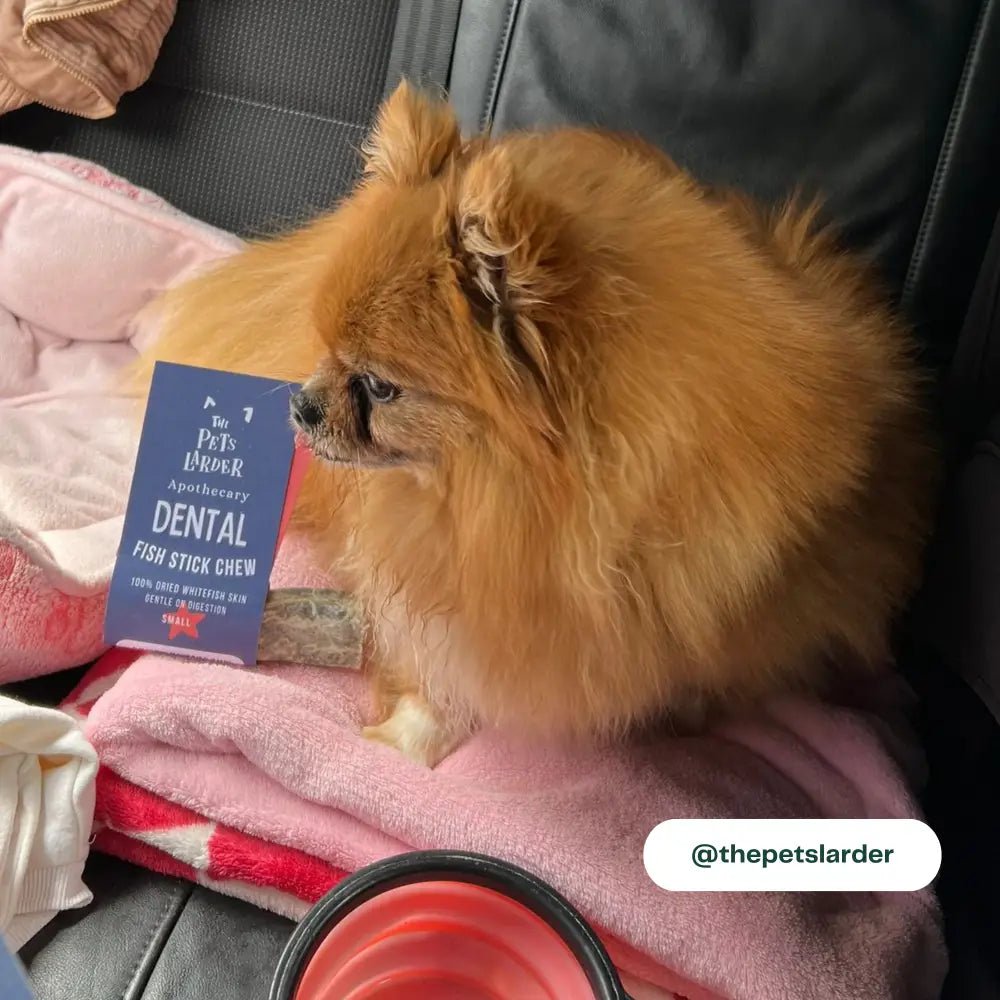 Fish Stick Chew For Dogs - Chartley Chucks
