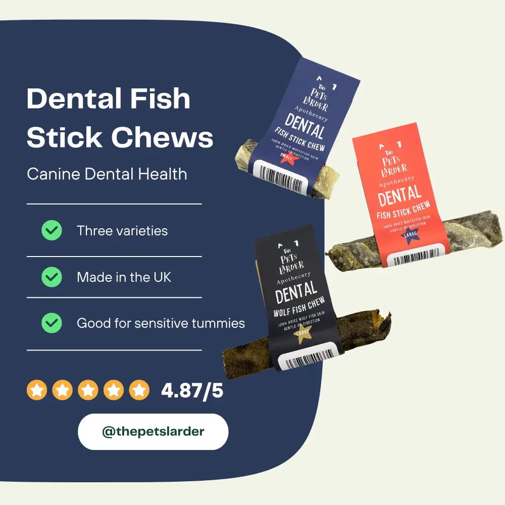 Fish Stick Chew For Dogs - Chartley Chucks