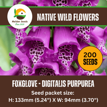 Foxglove Seeds - 200 Native UK Wild Flower Seeds for Attracting Birds, Bees, Wildlife, Pollinators, Suitable for Planting and Growing Outdoors in Meadows, Fields, Gardens and Borders by Meldon Seeds - Chartley Chucks