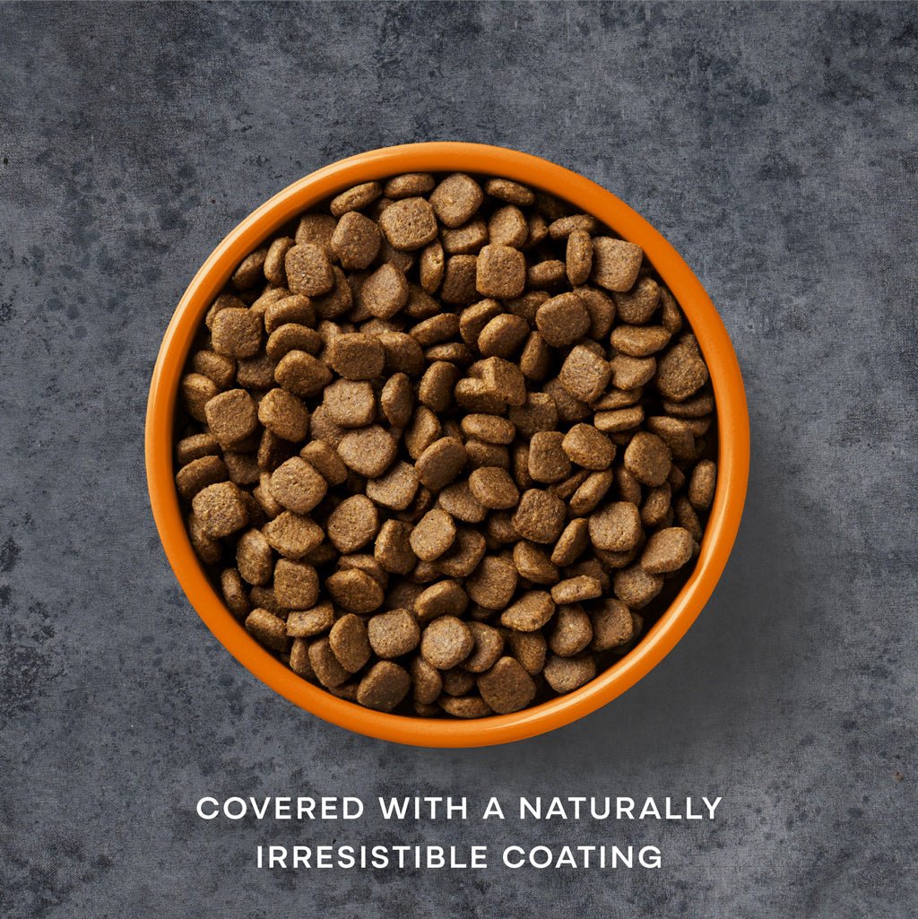 Free Run Chicken Dry Dog Food - Chartley Chucks