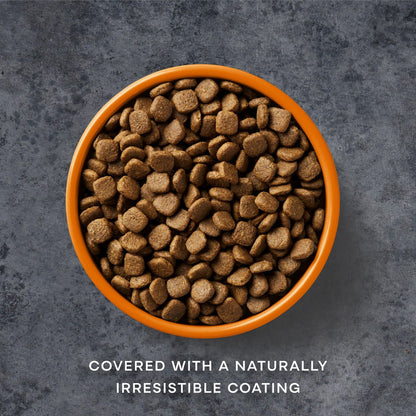 Free Run Chicken Dry Dog Food - Chartley Chucks