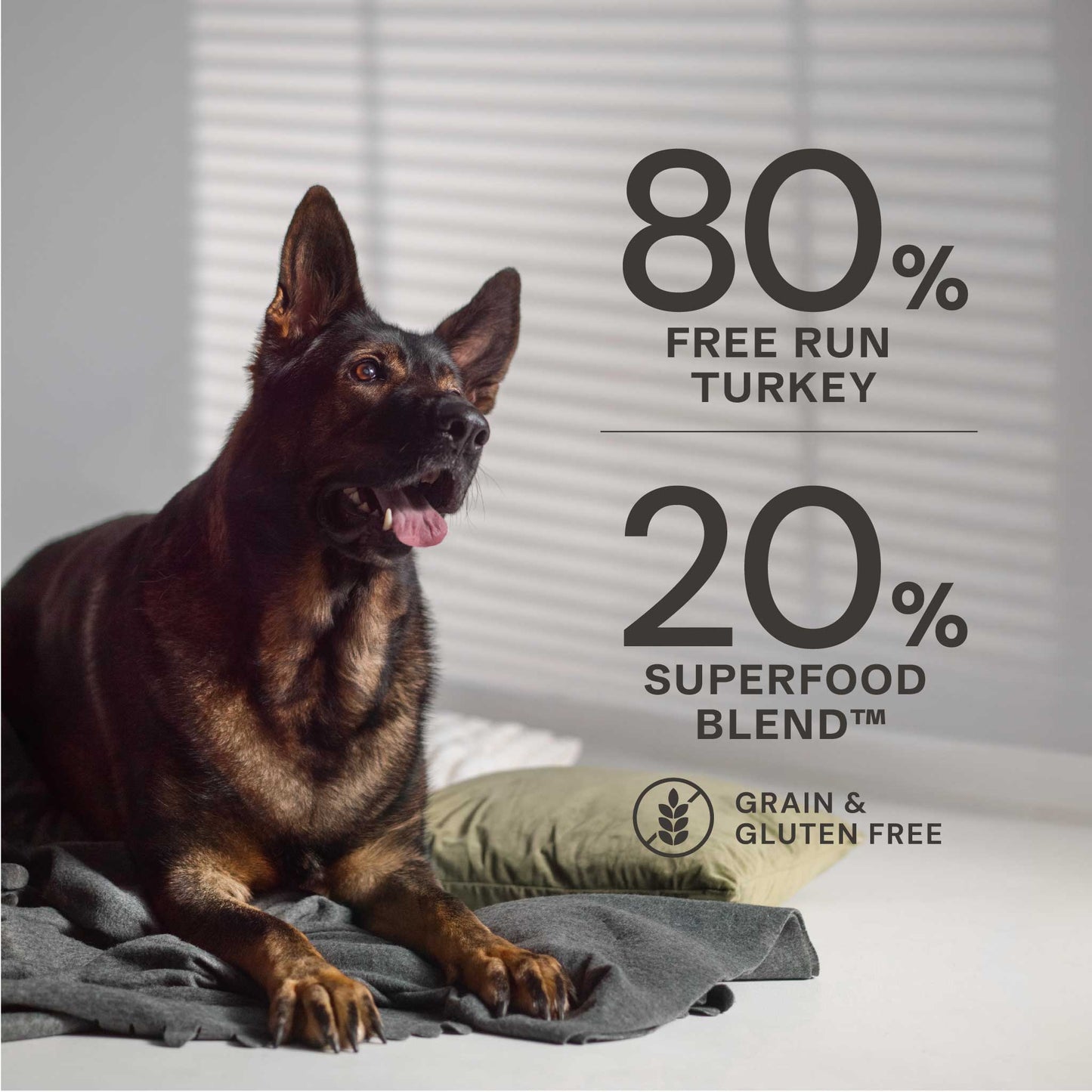 Free Run Turkey Dry Dog Food - Chartley Chucks
