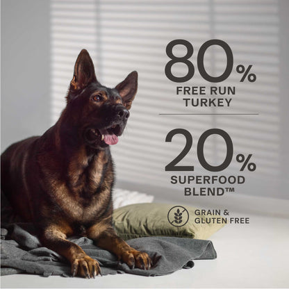 Free Run Turkey Dry Dog Food - Chartley Chucks