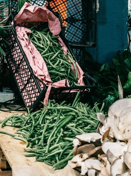 French Climbing Bean Plug Plants "Grow Your Own" Vegetables 'Ready to Plant Now' Young Vegetable Plants **Letterbox Friendly** - Chartley Chucks