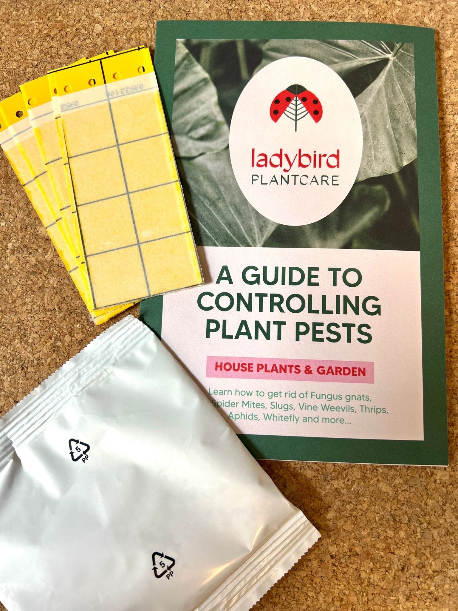 Fungus Gnat treatment bundle (includes free First Class shipping) - Chartley Chucks