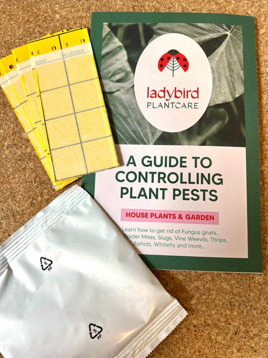 Fungus Gnat treatment bundle (includes free First Class shipping) - Chartley Chucks