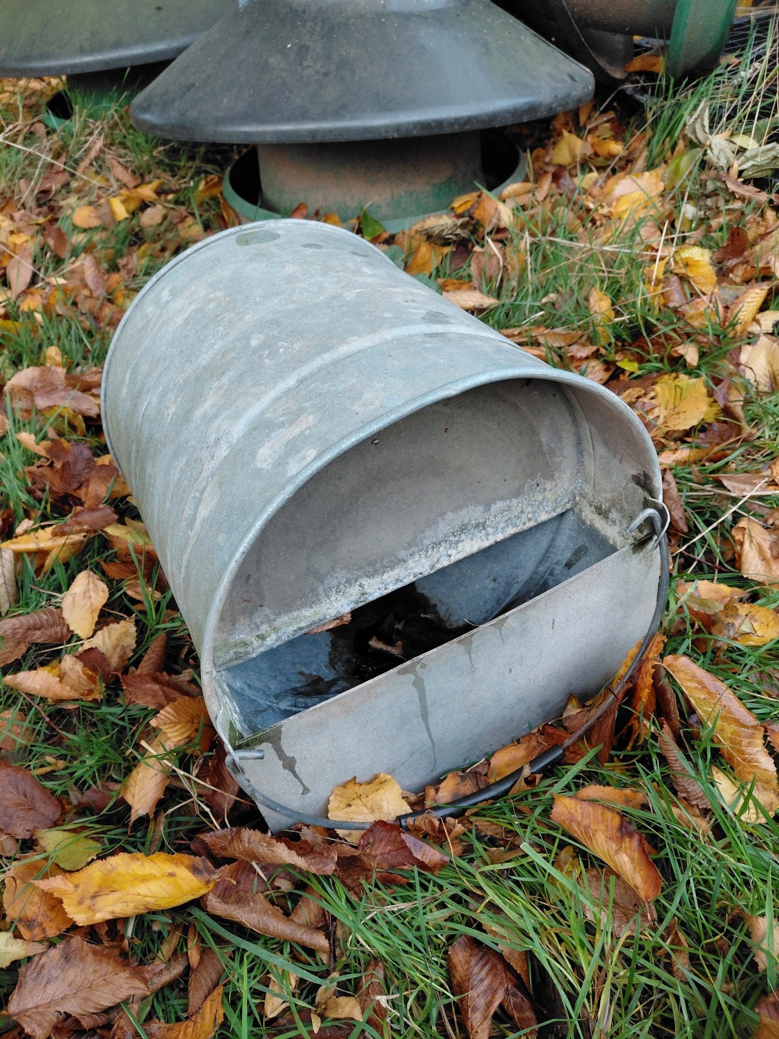 Galvanised Lying Bucket drinkers - used (10 litres) - Chartley Chucks