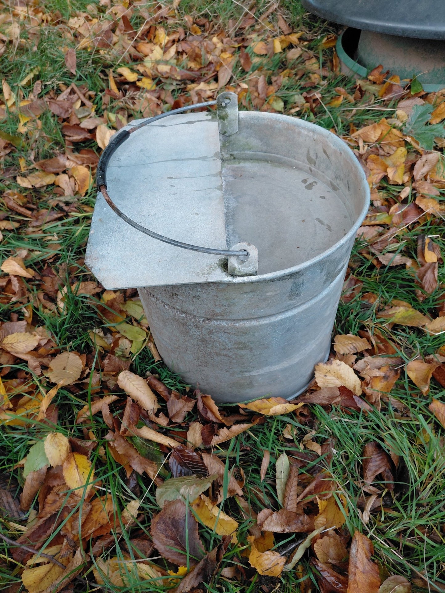 Galvanised Lying Bucket drinkers - used (10 litres) - Chartley Chucks