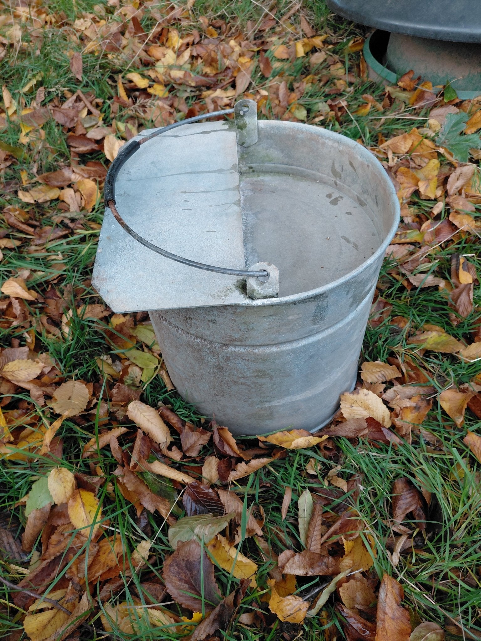 Galvanised Lying Bucket drinkers - used (10 litres) - Chartley Chucks