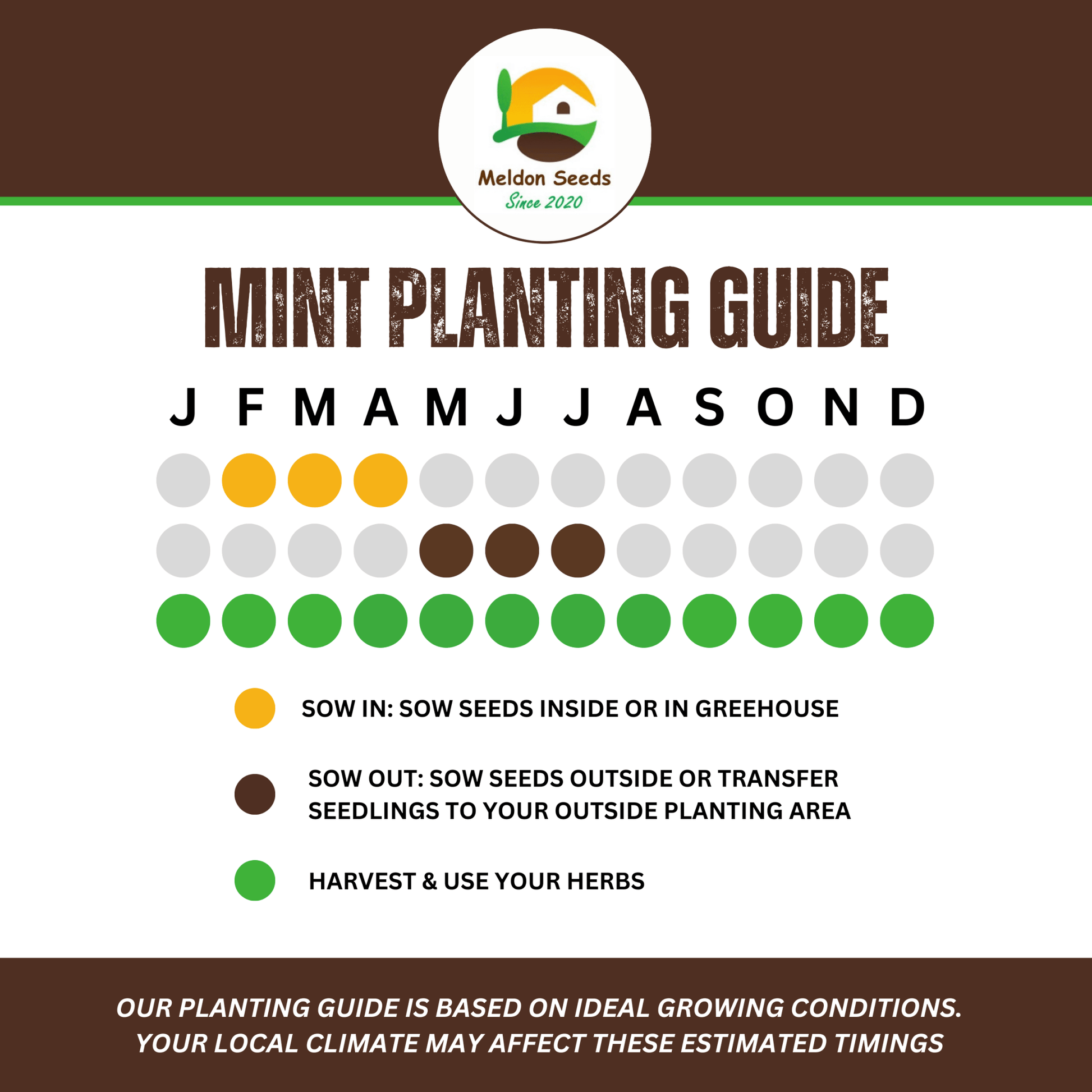 Garden Mint Seeds - 400 Fresh Herb Seeds - Chartley Chucks