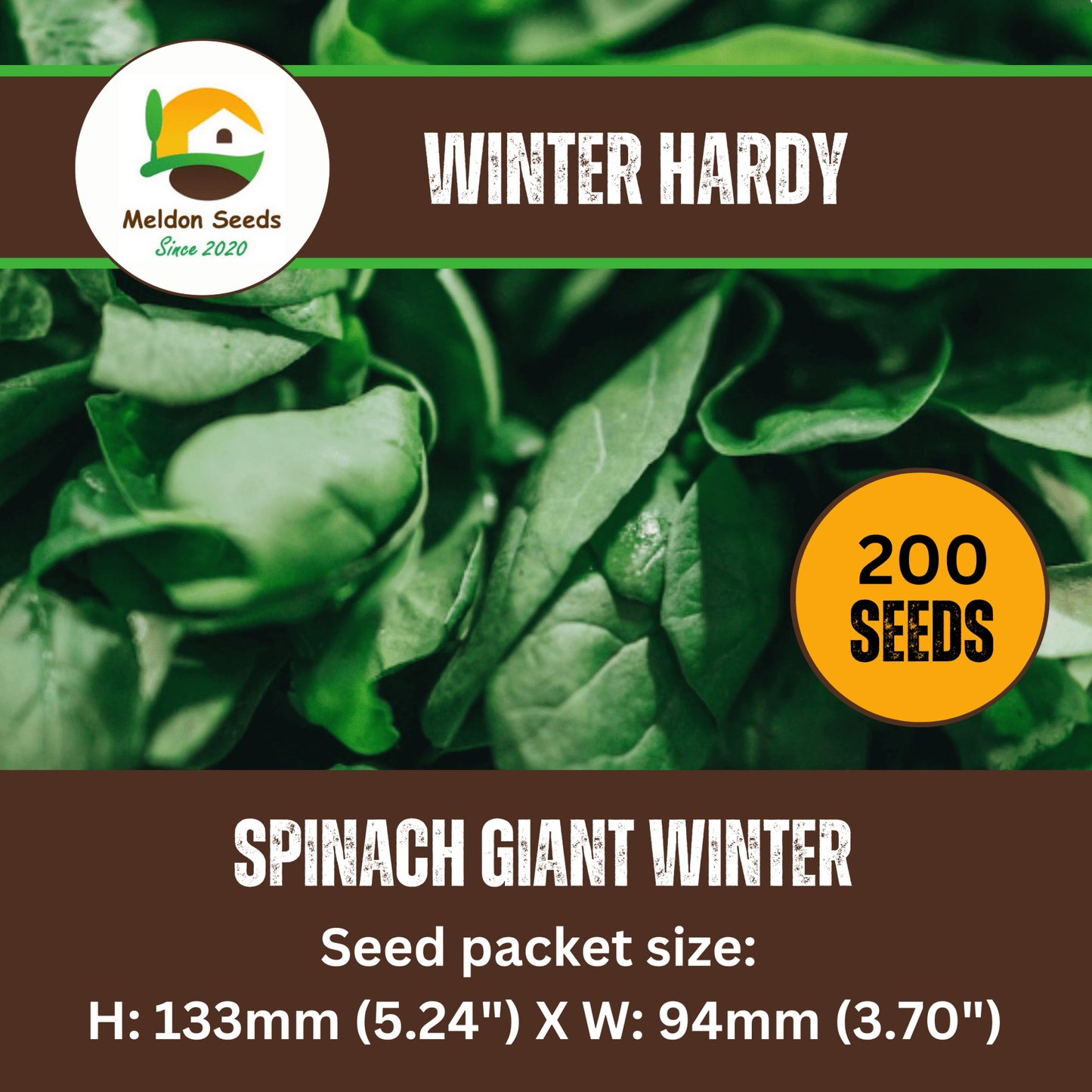 Giant Winter Spinach 150 Seeds - Chartley Chucks