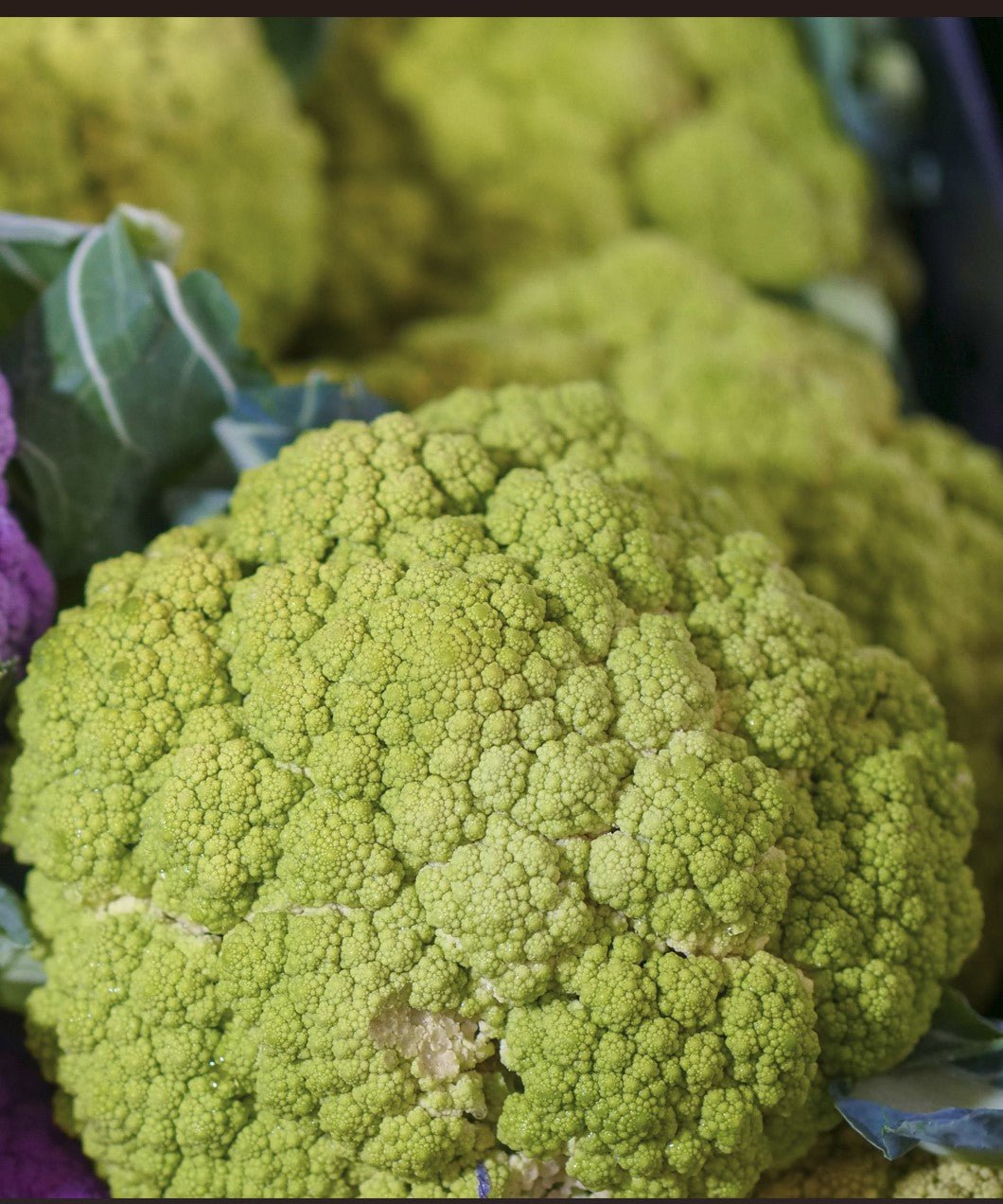 Green Cauliflower Plug Plants "Grow Your Own" Vegetables **Letterbox Friendly** - Chartley Chucks