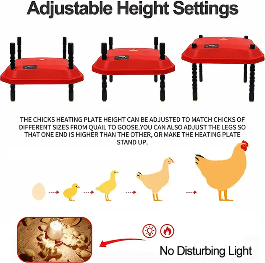 Extra Large Brooder Heating Plate (66W 40.7cmx61cm)