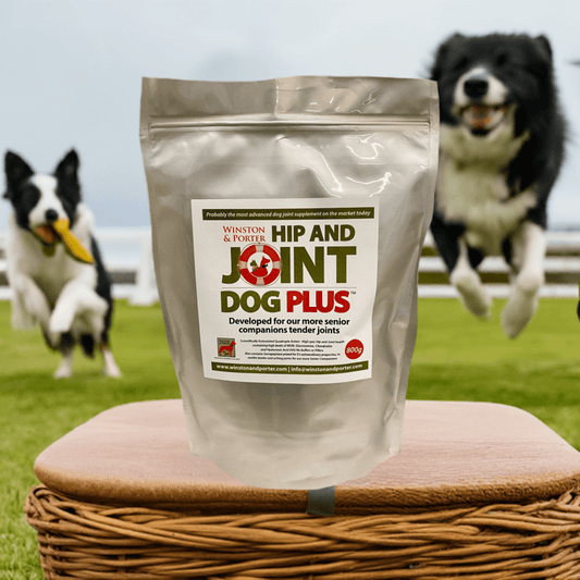 Hip and Joint Dog PLUS - Chartley Chucks