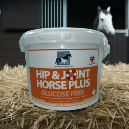 Hip and Joint Horse PLUS GLUCOSE FREE Premium Joint Supplement - Chartley Chucks