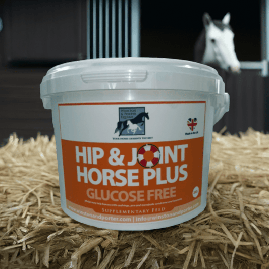 Hip and Joint Horse PLUS GLUCOSE FREE Premium Joint Supplement - Chartley Chucks