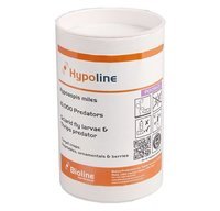 Hypoaspis mites (Stratiolaelaps scimitus) - Chartley Chucks