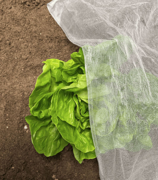 InsectoNet Plastic Free Netting - Chartley Chucks