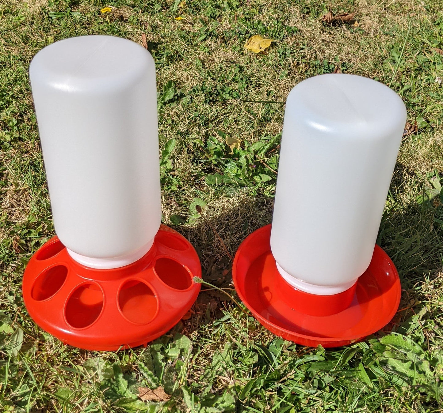 Jar Poultry / Chicken Feeder or Drinker - Chartley Chucks