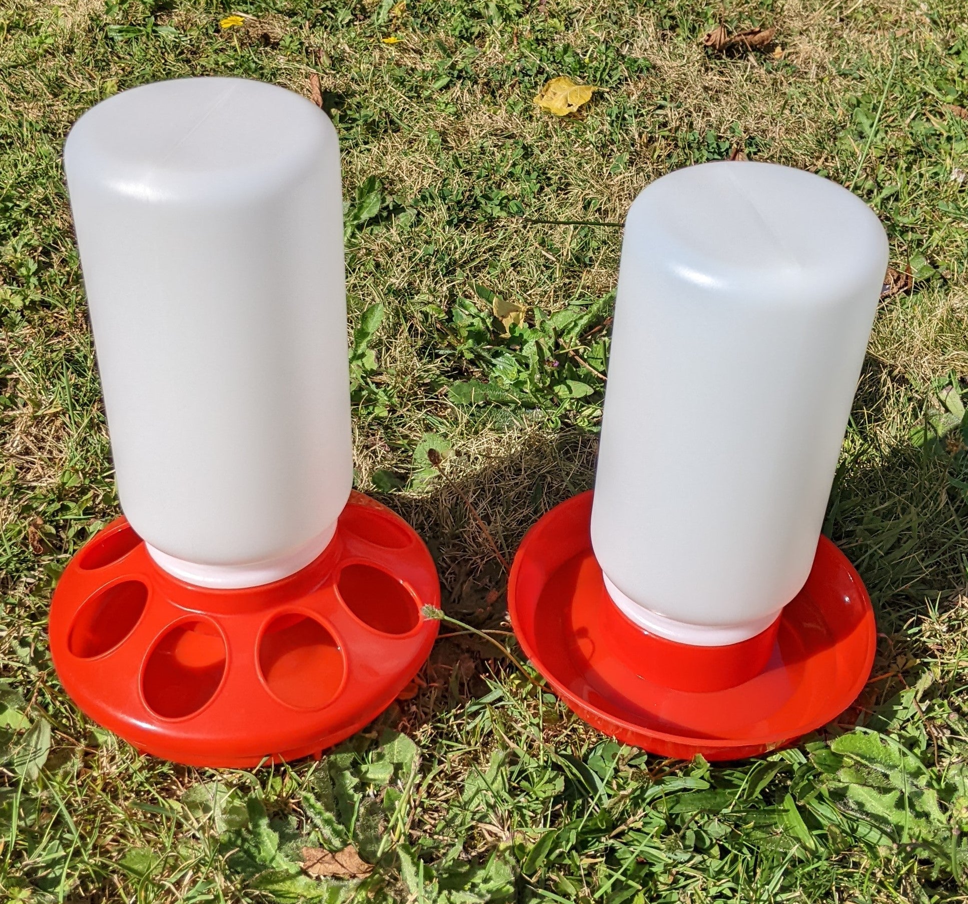 Jar Poultry / Chicken Feeder or Drinker - Chartley Chucks