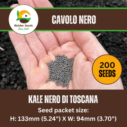 Kale Seeds Nero Di Toscana x 200 Seeds - Chartley Chucks