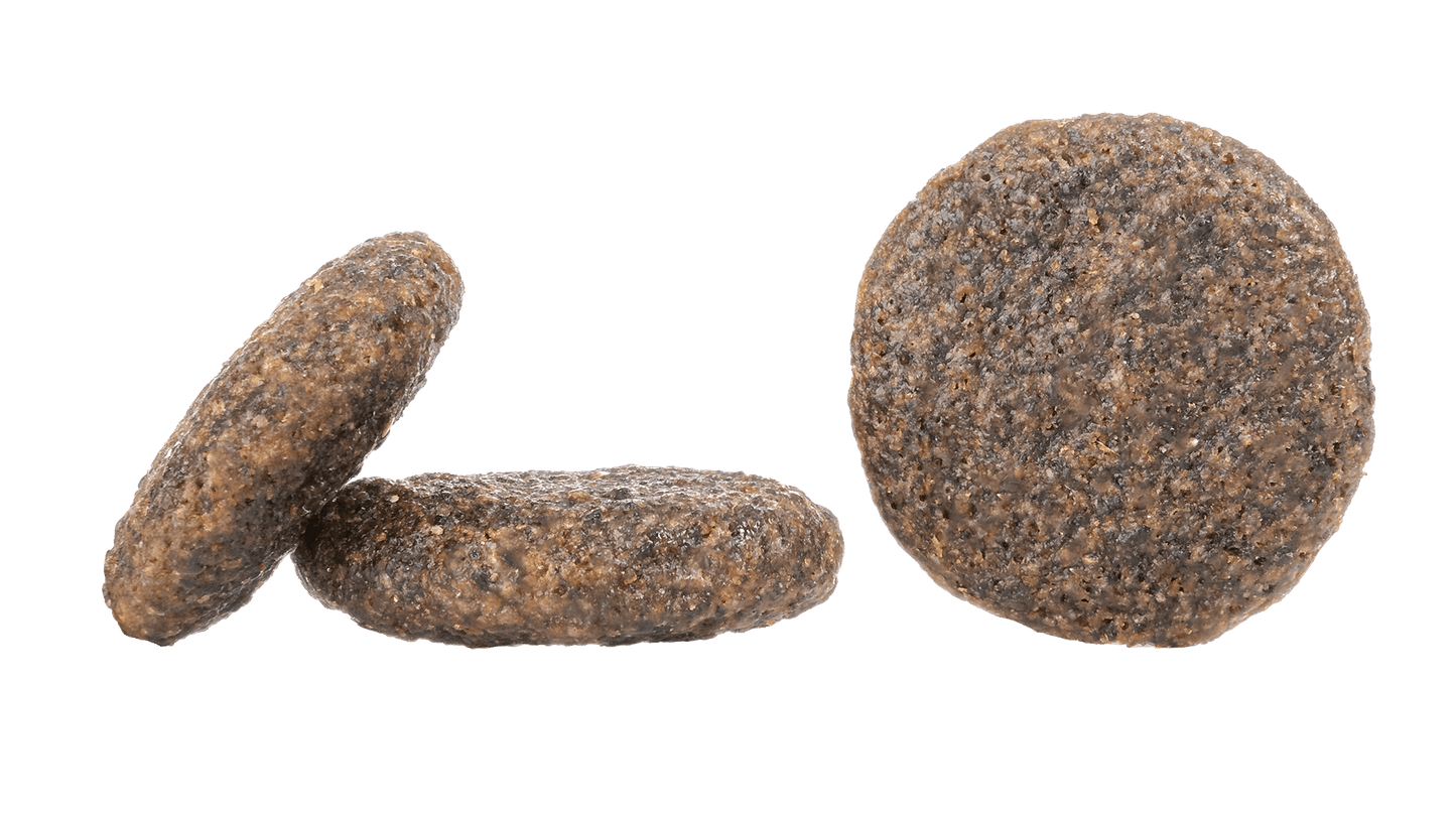 Karibik (Carribbean) - Chartley Chucks