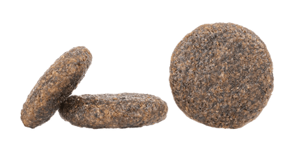 Karibik (Carribbean) - Chartley Chucks