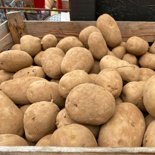 Lady Christl Seed Potatoes 2KG - Chartley Chucks