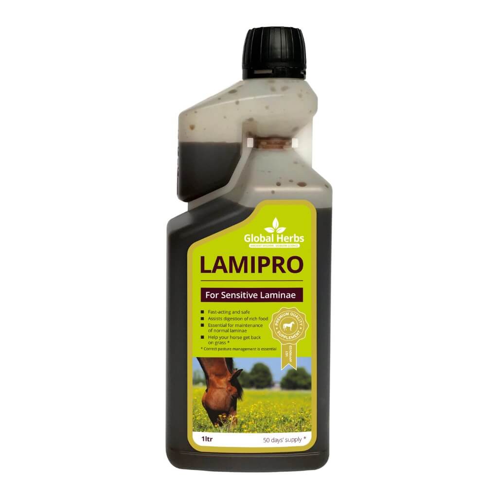 LamiPro liquid - Equine - Chartley Chucks