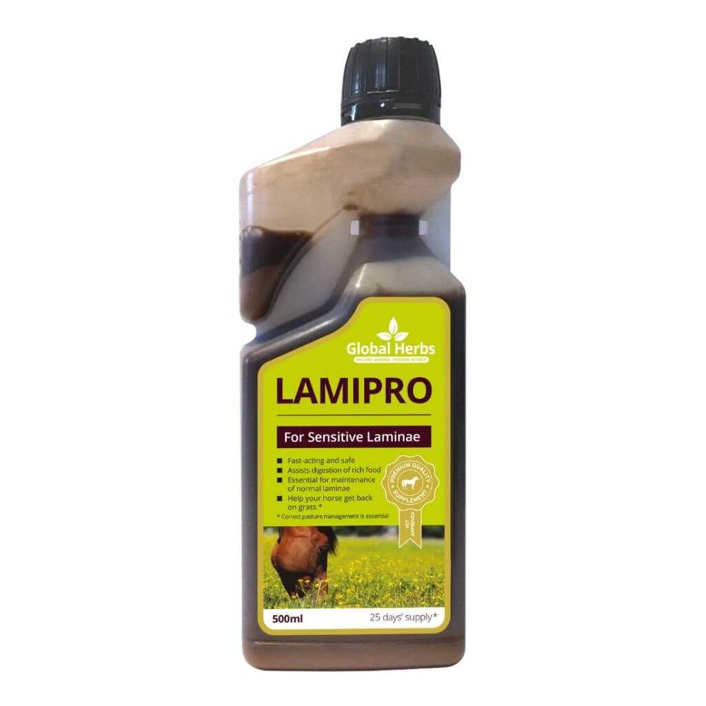 LamiPro liquid - Equine - Chartley Chucks