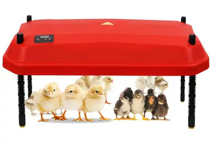 Large Brooder Heating Plate (42W 40.7cmx40.7cm)