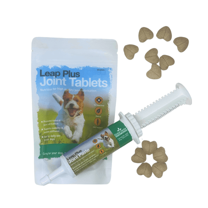 Leap Plus Joint paste 60ml - Global Herbs - Canine - Chartley Chucks