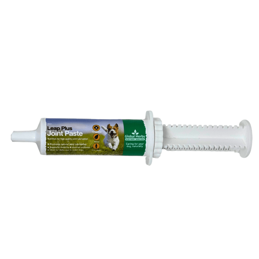 Leap Plus Joint paste 60ml - Global Herbs - Canine - Chartley Chucks
