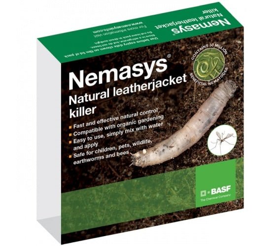 Leatherjacket Nematodes - Chartley Chucks