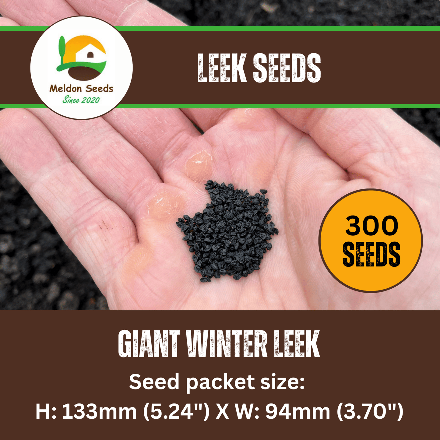 Leek Giant Winter 300 Seeds - Chartley Chucks