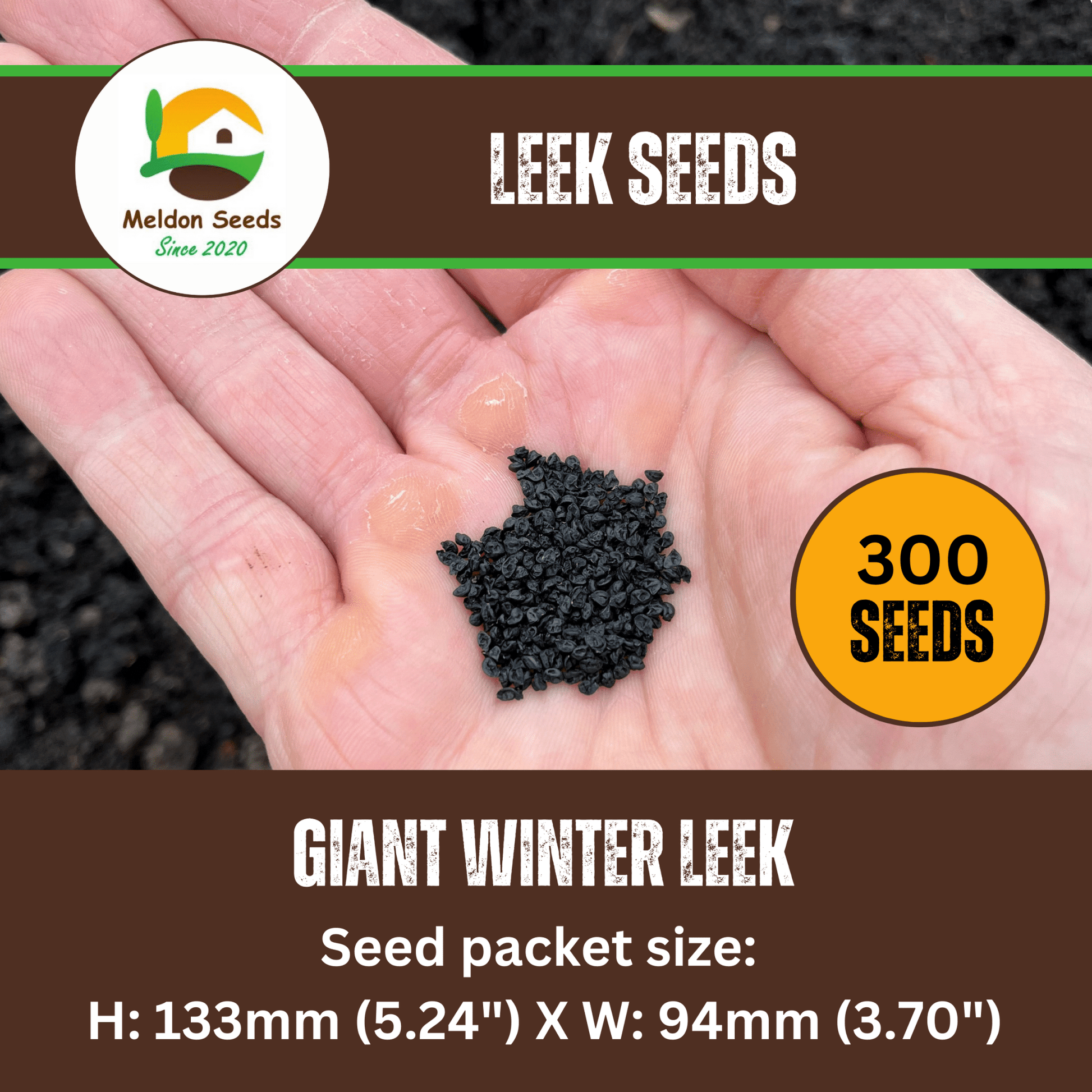Leek Giant Winter 300 Seeds - Chartley Chucks