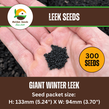 Leek Giant Winter 300 Seeds - Chartley Chucks