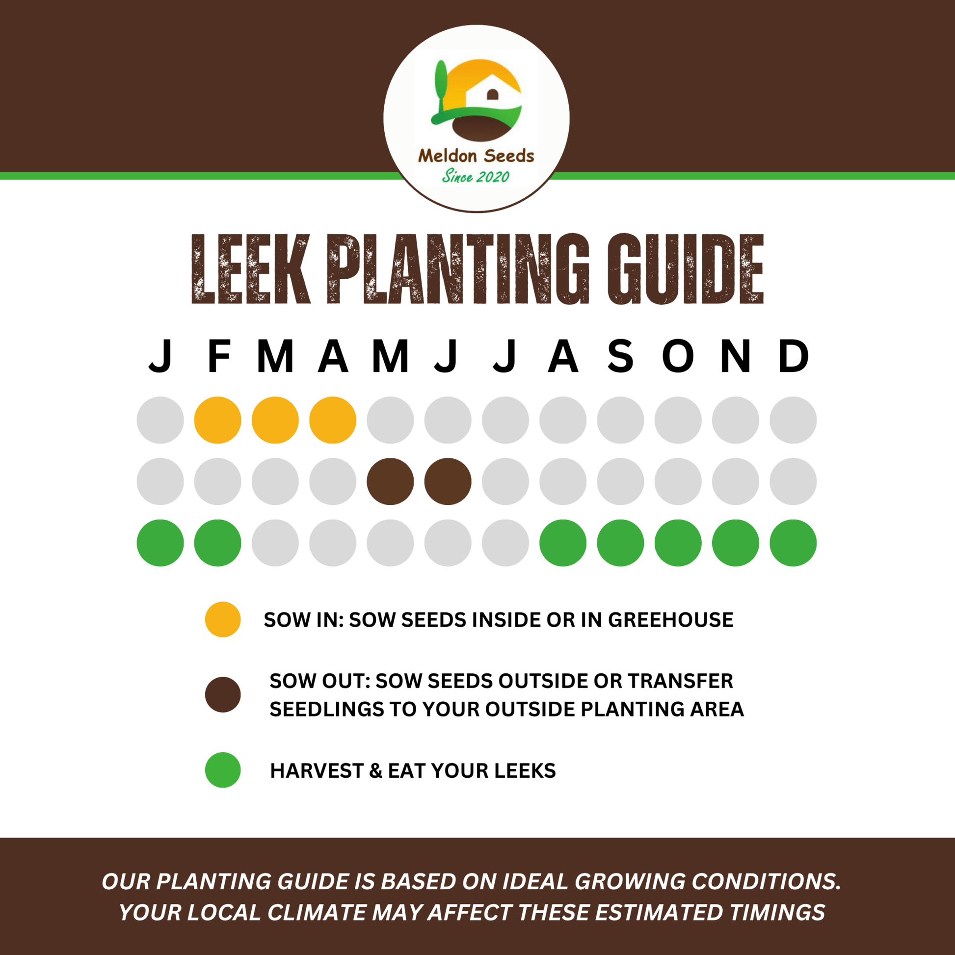 Leek Giant Winter 300 Seeds - Chartley Chucks