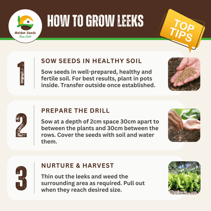 Leek Giant Winter 300 Seeds - Chartley Chucks