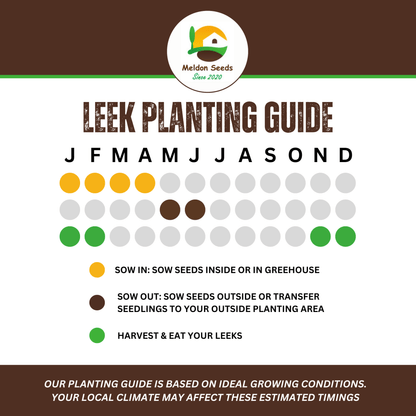 Leek Musselburgh 300 Seeds - Chartley Chucks