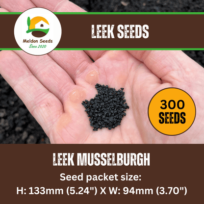 Leek Musselburgh 300 Seeds - Chartley Chucks