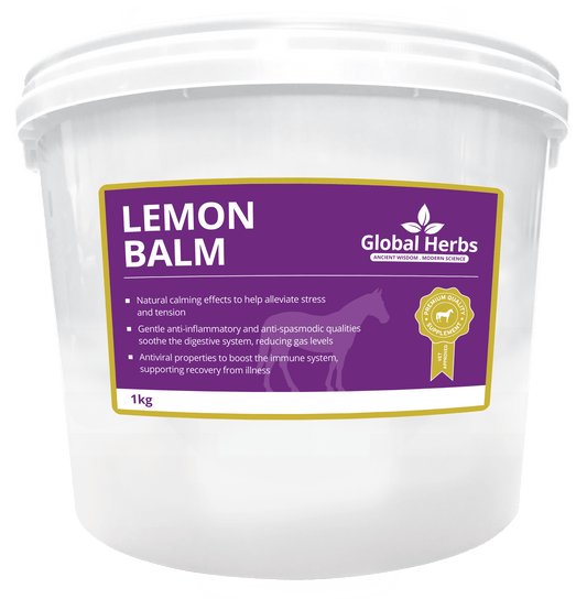 Lemon Balm - Global Herbs - Chartley Chucks