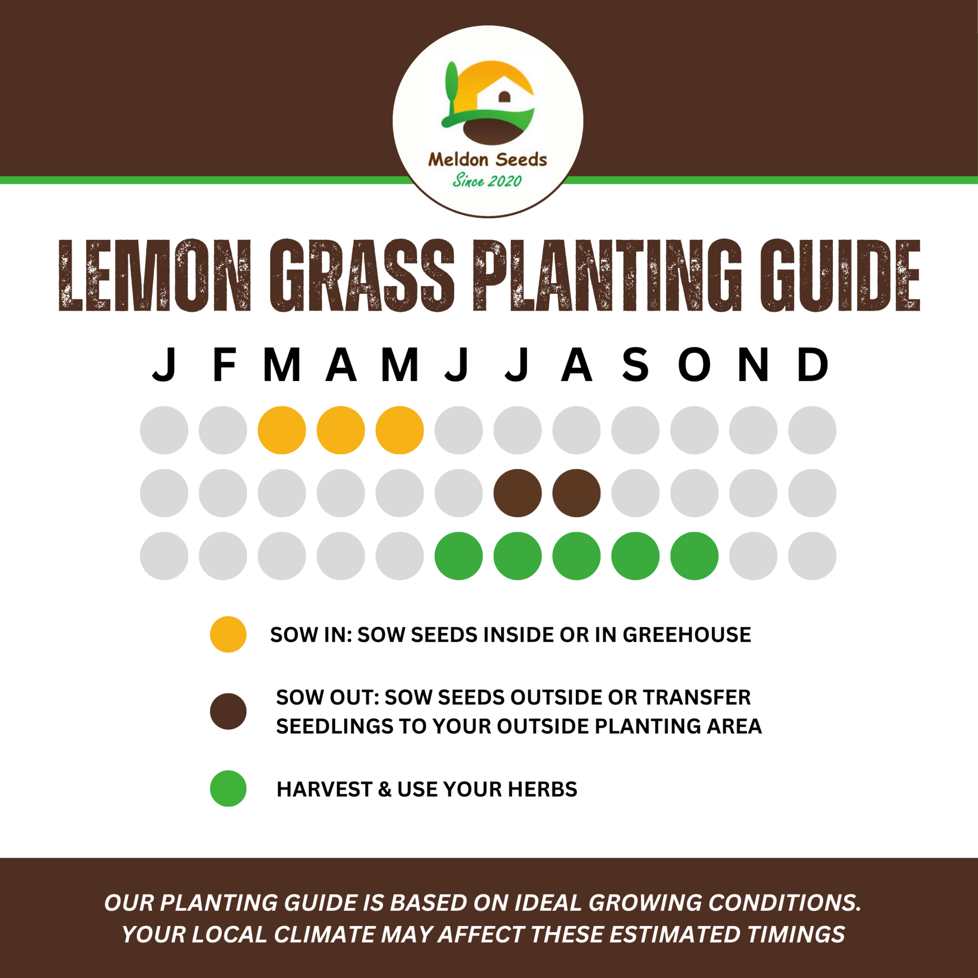 Lemon Grass 50 Seeds - Chartley Chucks