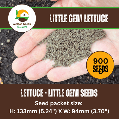Lettuce Little Gem 500 Seeds - Chartley Chucks