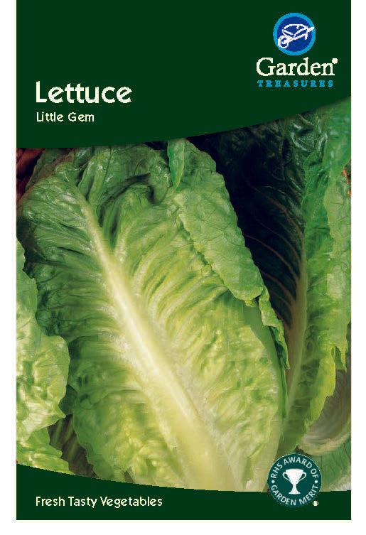Lettuce Little Gem Seeds - Chartley Chucks